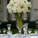 White hydrangea centerpiece,perla farms hydrangeas for your wedding,perla farms delivers hydrangeas for your wedding nationwide.